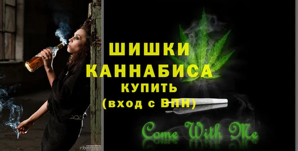 PSILOCYBIN Дмитриев