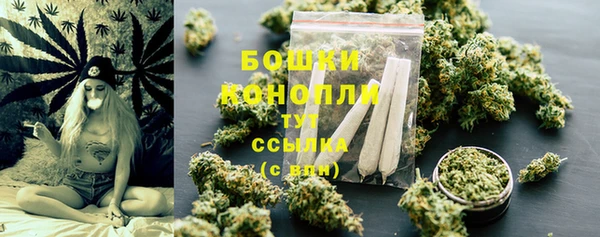 амф Дмитровск
