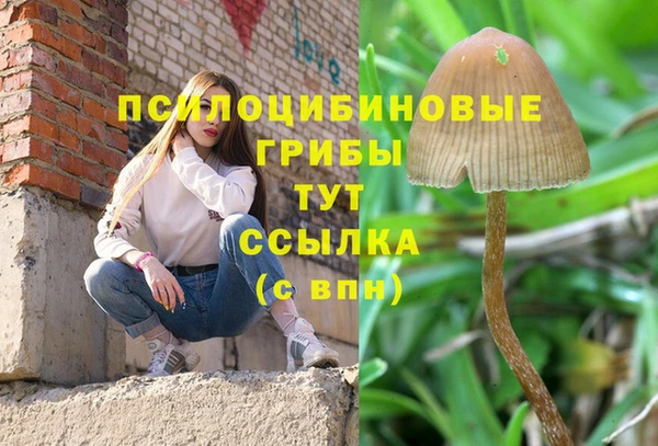 амф Дмитровск