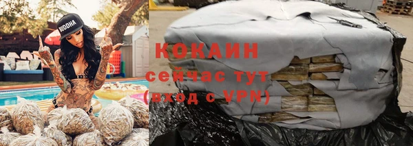 PSILOCYBIN Дмитриев