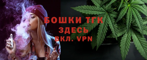 сатива Сосновый Бор