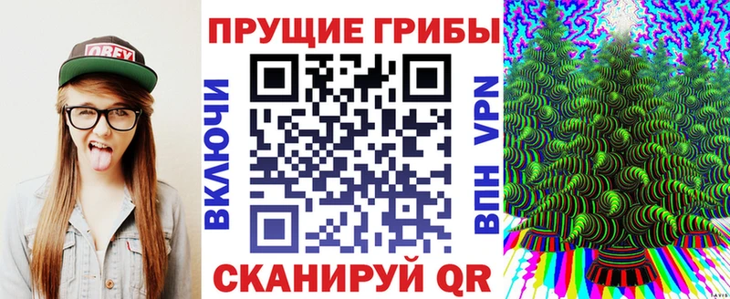 Псилоцибиновые грибы мицелий  Купить закладки  Пересвет 